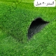 چمن مصنوعی 30 میل