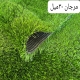 چمن مصنوعی مرجان 30 میل